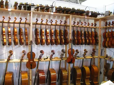 Violines (43 fotos): ¿Cuántas cuerdas tiene un instrumento musical? Edificio y tipos. ¿Qué les hace hacer y cómo elegir el puente y otros accesorios? Cómo se ve? 25422_35