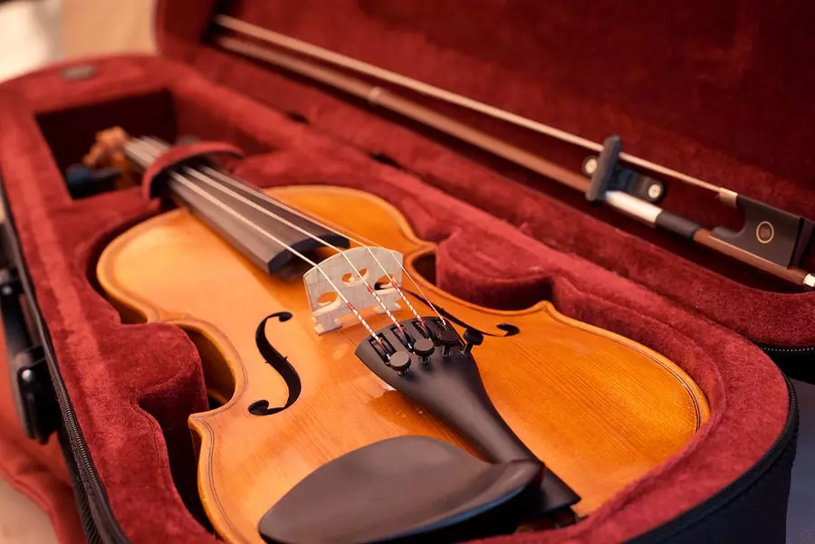 Violins (43 فوٽن): ڪيئن ڪيترن ئي strings هڪ موسيقي جو اوزار آهن؟ عمارت ۽ قسمن. ڇا کين ڪندا ۽ ڪيئن پل ۽ ٻين لوازمات چونڊي ڪندو؟ اهو ڇا وانگر آهي؟ 25422_38
