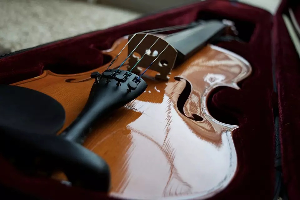 Mga Violins (43 Mga Litrato): Pila ka mga pisi ang adunay usa ka instrumento sa musika? Pagtukod ug mga tipo. Unsa man ang naghimo kanila ug unsaon pagpili sa tulay ug uban pang mga aksesorya? Unsa man ang hitsura niini? 25422_39