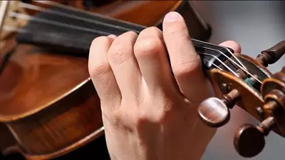 Violini (43 foto): Quante stringhe hanno uno strumento musicale? Edificio e tipi. Cosa li fa fare e come scegliere il ponte e altri accessori? Che cosa sembra? 25422_43