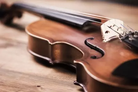 Violini (43 foto): Quante stringhe hanno uno strumento musicale? Edificio e tipi. Cosa li fa fare e come scegliere il ponte e altri accessori? Che cosa sembra? 25422_5