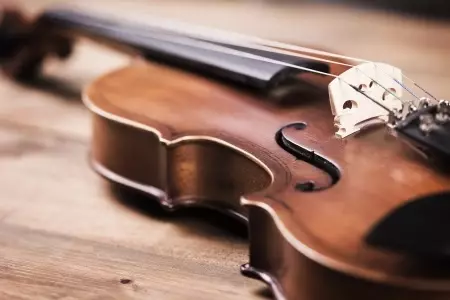 Mga Violins (43 Mga Litrato): Pila ka mga pisi ang adunay usa ka instrumento sa musika? Pagtukod ug mga tipo. Unsa man ang naghimo kanila ug unsaon pagpili sa tulay ug uban pang mga aksesorya? Unsa man ang hitsura niini? 25422_5