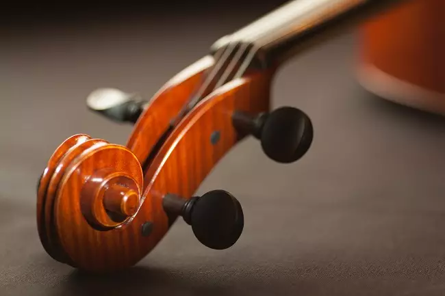 Violins (43 nuotraukos): kiek styginių yra muzikos instrumentas? Statybos ir tipų. Kas daro juos ir kaip pasirinkti tiltą ir kitus priedus? Kaip tai atrodo? 25422_6