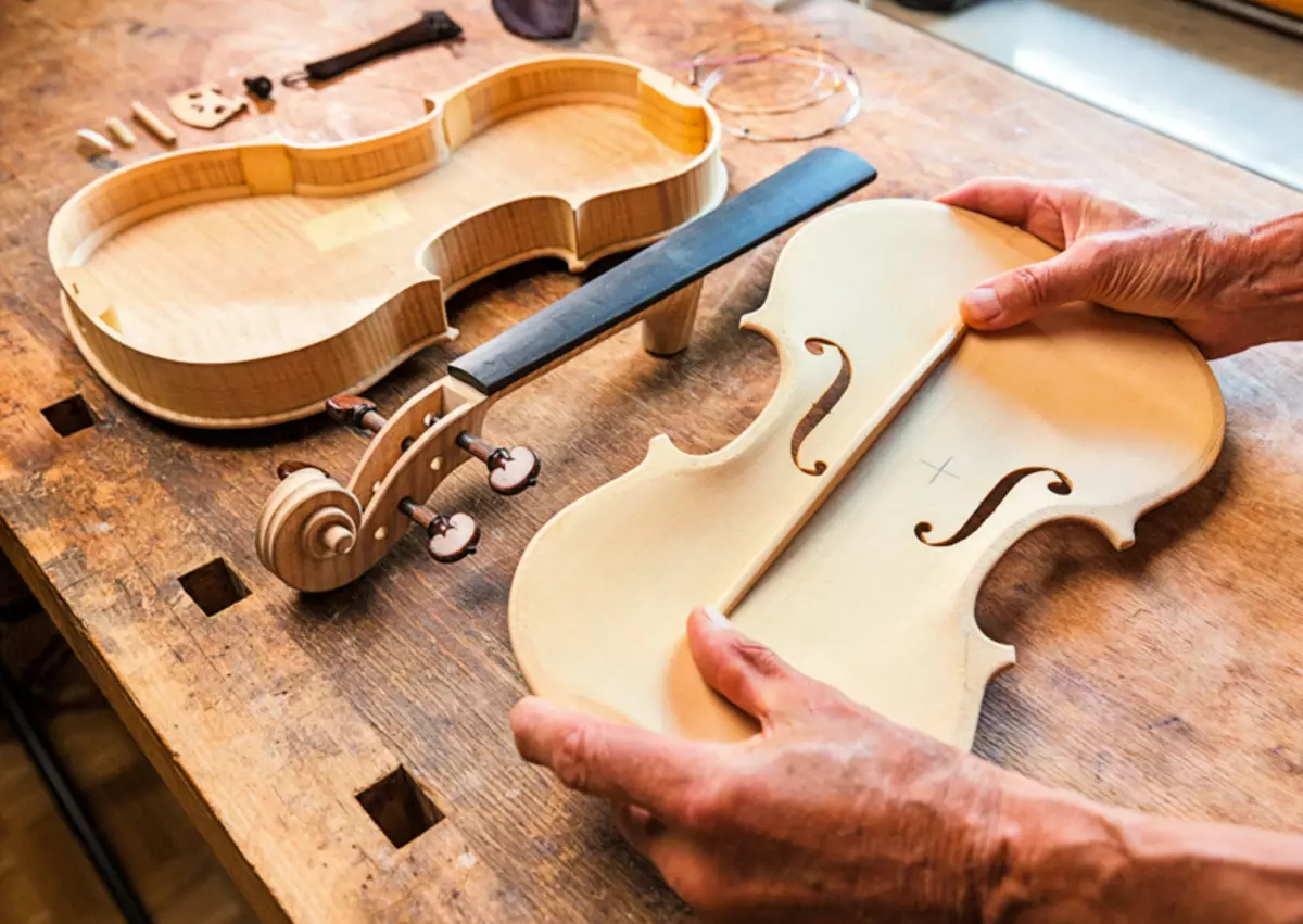 Violines (43 fotos): ¿Cuántas cuerdas tiene un instrumento musical? Edificio y tipos. ¿Qué les hace hacer y cómo elegir el puente y otros accesorios? Cómo se ve? 25422_7