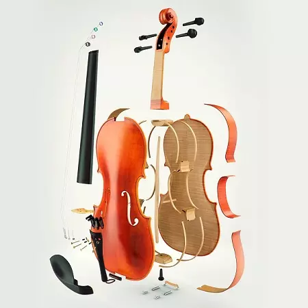 Violini (43 foto): Quante stringhe hanno uno strumento musicale? Edificio e tipi. Cosa li fa fare e come scegliere il ponte e altri accessori? Che cosa sembra? 25422_8