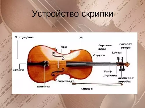 Violins (43 43 फोटोहरू): कति स्ट्रिंगहरू एक वाद्य वाद्यको उपकरण हुन्छ? निर्माण र प्रकारहरू। के गर्छ र कसरी ब्रिज र अन्य सामानहरू छनौट गर्ने के गर्दछ? यो के जस्तो देखिन्छ? 25422_9