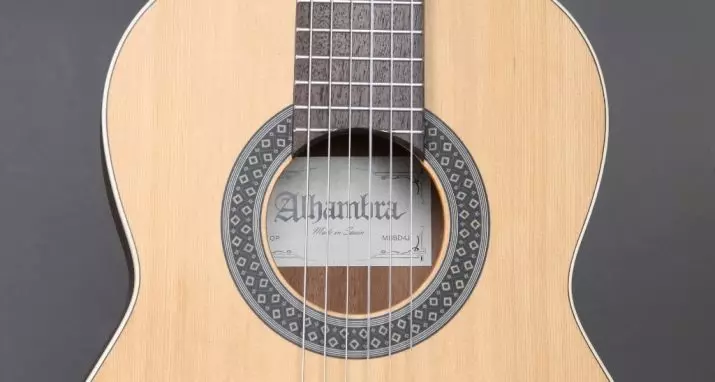 Saiz Gitar 7/8: Apa itu untuk berapa umur? Saiz gitar klasik dalam sentimeter 25428_10