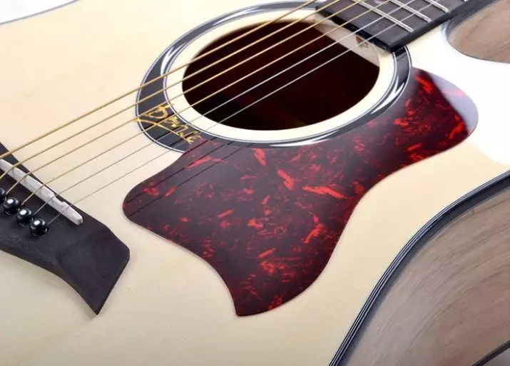 Picgard: Vir die kitaar Stratocaster en akoestiese, vir die TV-skerm. Wat is dit en uit watter plastiek make panele vir elektriese kitaar? 25429_8