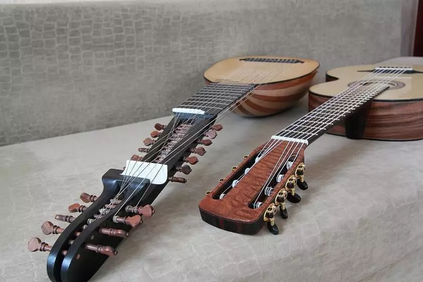 Kitarat e tetë qëndrojnë: kitarë elektrike, akustike dhe kitarat e tjera me 8 strings. Si t'i luani ato? 25434_16