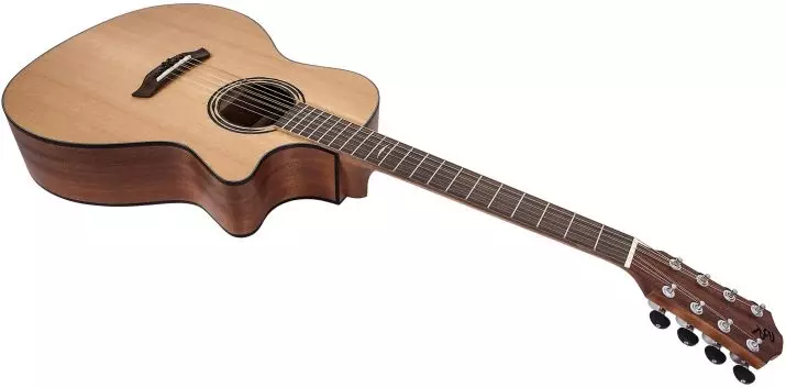 Ama-Guitars angama-ayisishiyagalombili: isiginci sikagesi, i-acoustic namanye ama-guitars anezintambo eziyi-8. Ungayidlala kanjani? 25434_8