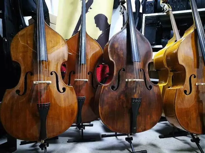 Differences of double bass from Cello (22 photos): What do they differ externally and what is the difference in sound? What do they look and what more? 25450_10