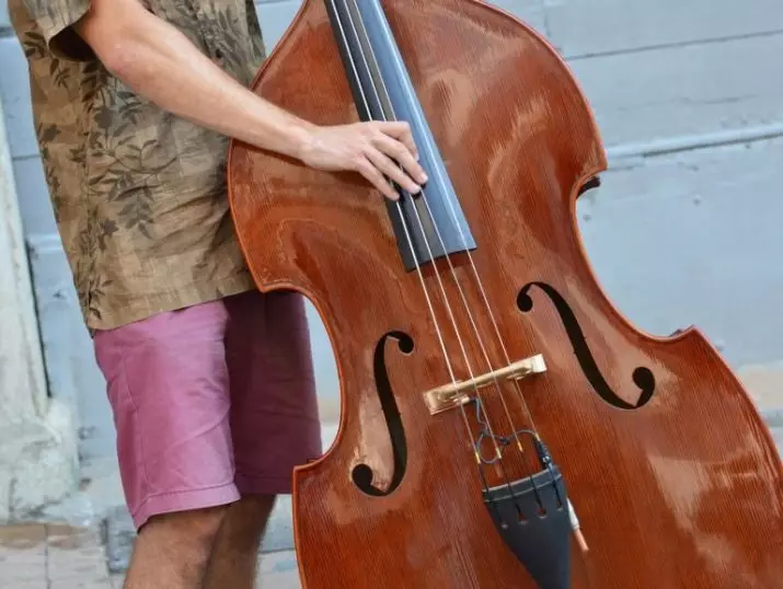 Itandukaniro rya Bass Double kuva Cello (Amafoto 22): Batandukaniye he hanze kandi ni irihe tandukaniro mu majwi? Bareba iki kandi ni iki kindi? 25450_11