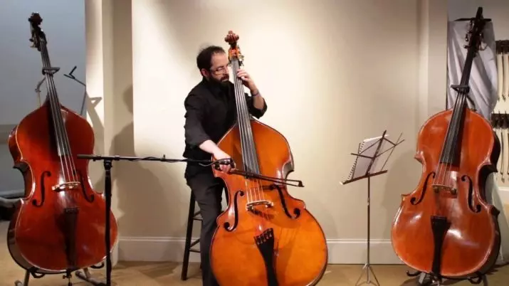 Itandukaniro rya Bass Double kuva Cello (Amafoto 22): Batandukaniye he hanze kandi ni irihe tandukaniro mu majwi? Bareba iki kandi ni iki kindi? 25450_16