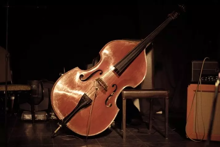 Itandukaniro rya Bass Double kuva Cello (Amafoto 22): Batandukaniye he hanze kandi ni irihe tandukaniro mu majwi? Bareba iki kandi ni iki kindi? 25450_3