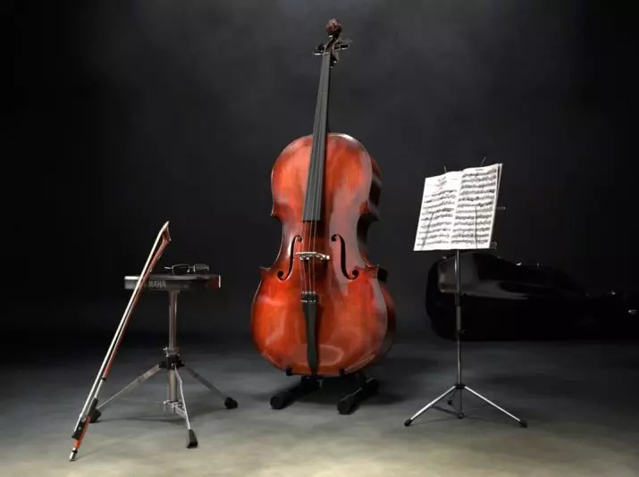 Differences of double bass from Cello (22 photos): What do they differ externally and what is the difference in sound? What do they look and what more? 25450_7