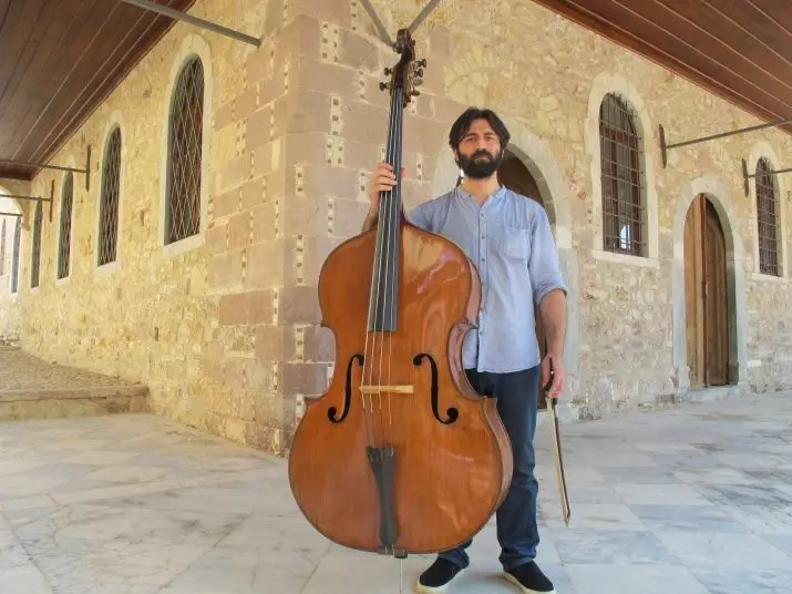 Differences of double bass from Cello (22 photos): What do they differ externally and what is the difference in sound? What do they look and what more? 25450_9