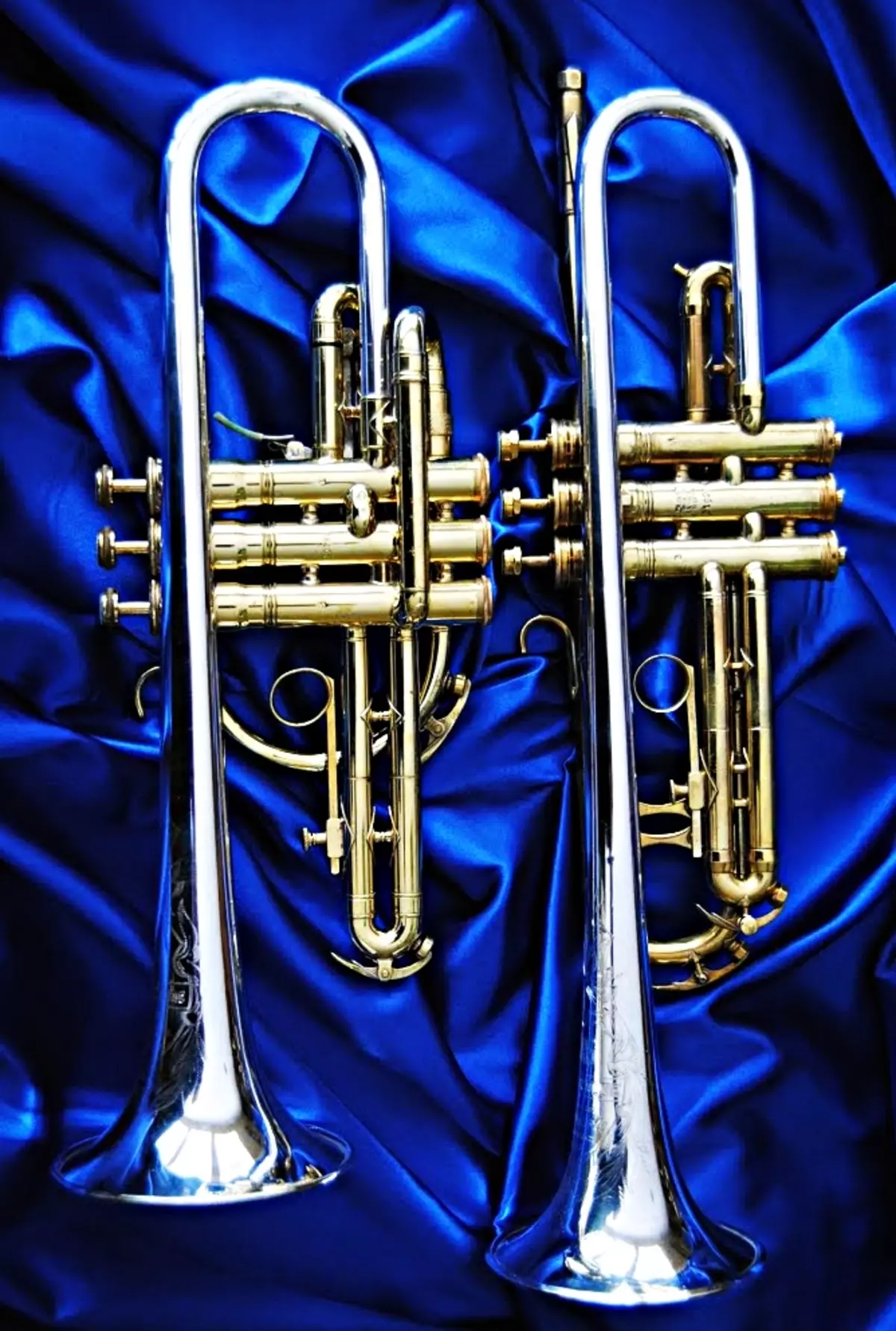 Cornet del instrumento musical (20 fotos): descripción del antiguo instrumento de latón, revisión de las cornetas, papel en la música 25454_15