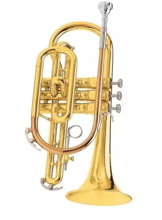 Instrumento musical Cornet (20 fotos): Descrición do antigo instrumento de bronce, revisión das cornetas, papel na música 25454_17
