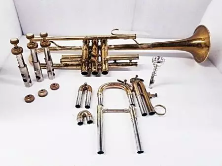 樂器基數（20張）：描述古老的黃銅樂器，審查圓角，音樂中的角色 25454_19