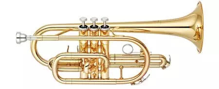 Korniza e instrumentit muzikor (20 foto): Përshkrimi i instrumentit të lashtë prej bronzi, shqyrtimi i corneteve, roli në muzikë 25454_2