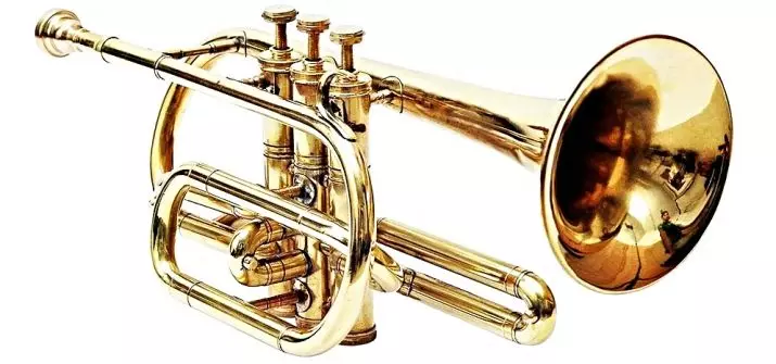 Kantong alat musik (20 poto): Katerangan ngeunaan alat Brass kuno, ulasan tina Cetét, lalakon dina musik 25454_9