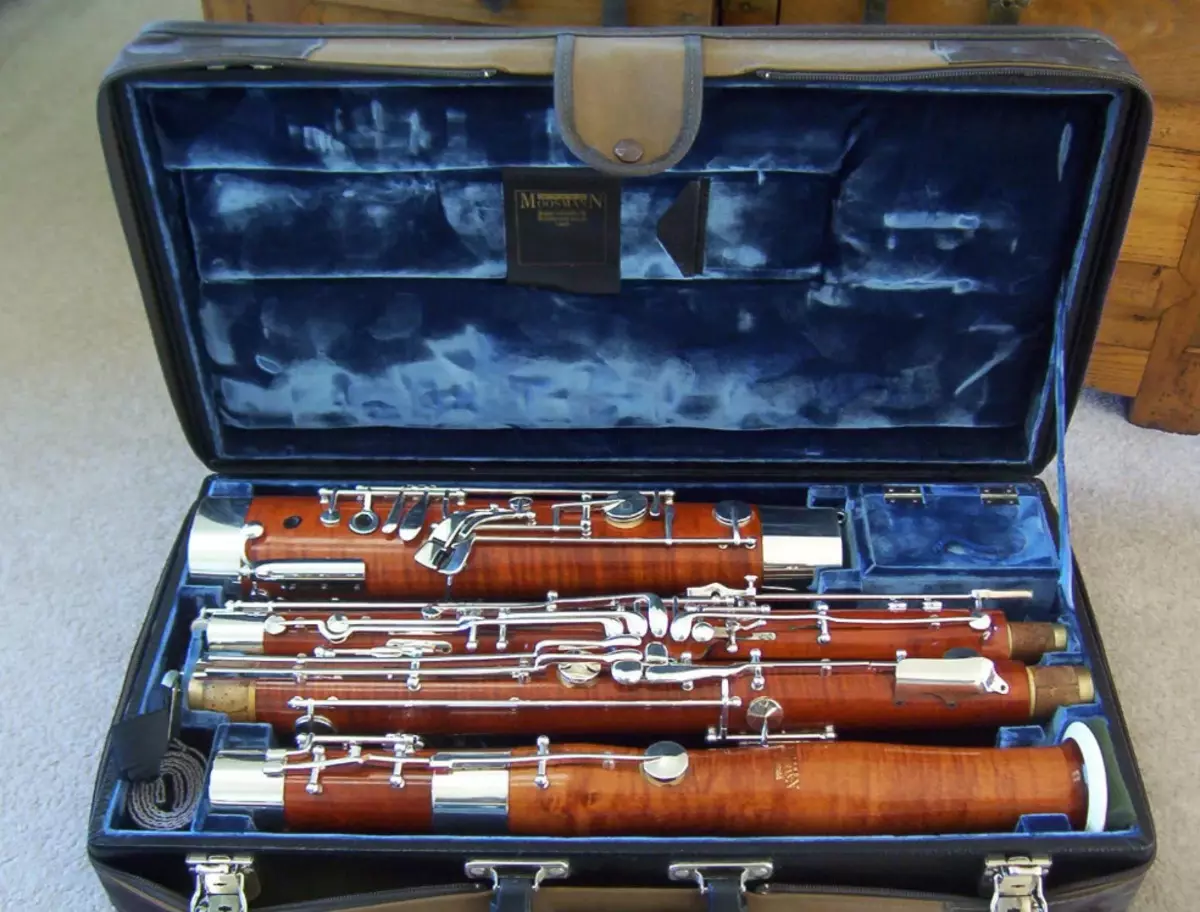 Profesija: medinis fuch muzikos instrumentas, aprašymas, žaisti orkestrą 25456_3