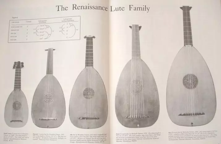 Lute (28 photos): What is it? Music medieval tool Soprano, theorer and other types, game and sound, number of strings and system 25462_25