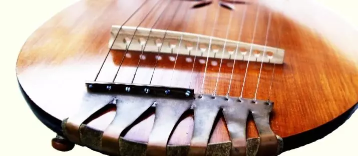 COBZA (16 foto's): Hoeveel snaren hebben een muziekinstrument? Hoe klinkt het 12-string Oekraïense Bandura-geluid? 25465_2