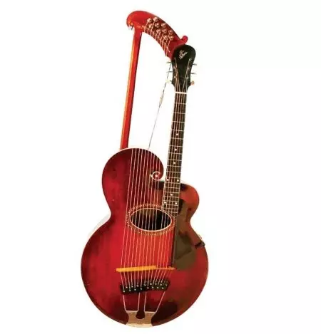 Çend rêzikên guitars? 18-string û pênc-string, rûs û 20-string, sê-string û tenol. Ma kîjan gîtarên din in? 25476_14