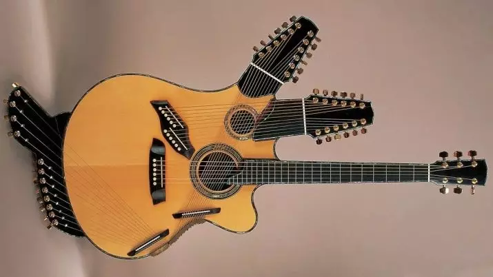 Koliko žica gitara? 18-string i pet-string, ruski i 20-string, tri-string i tenol. Koje su druge gitare? 25476_18