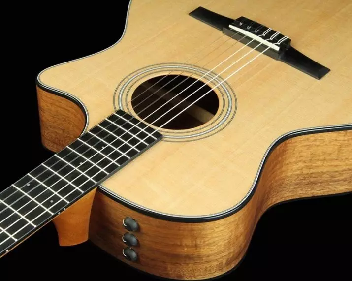Hoeveel snare van kitare? 18-string en vyf-string, Russiese en 20-string, drie-string en tenol. Wat ander kitare is? 25476_2