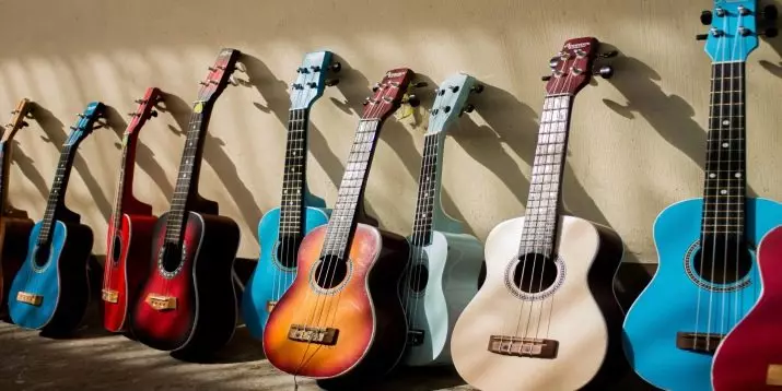 Hoeveel reeksen gitaren? 18-string en vijf-string, Russisch en 20-string, drie-string en tenol. Welke andere gitaren zijn? 25476_22