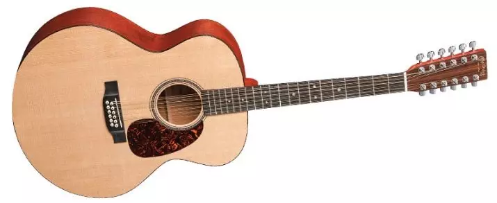 Koliko žica gitara? 18-string i pet-string, ruski i 20-string, tri-string i tenol. Koje su druge gitare? 25476_6