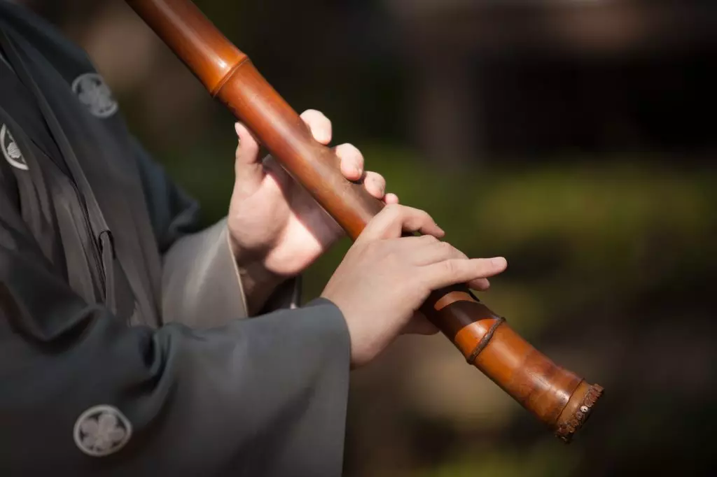 Japanilaiset soittimet: merkkijono kumarsi perinteisiä työkaluja (viulu, kokus), Japanin ja muiden tuulen kansalliset työkalut 25491_24