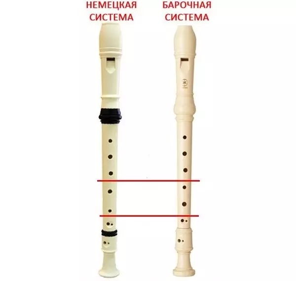 Blokování (35 fotek): Rozdíly od flétny. Soprano a Alto, tenor a jiné typy bloků, pouzdro pro ně, německé a barokní systémy 25500_15