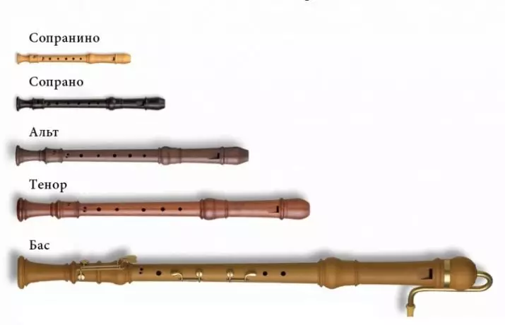 Bloqueo (35 fotos): Diferencias de la flauta. Soprano y Alto, tenor y otros tipos de pulpas de bloques, caso para ellos, sistemas alemanes y barrocos. 25500_23