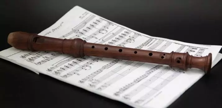 Bloqueo (35 fotos): Diferencias de la flauta. Soprano y Alto, tenor y otros tipos de pulpas de bloques, caso para ellos, sistemas alemanes y barrocos. 25500_35
