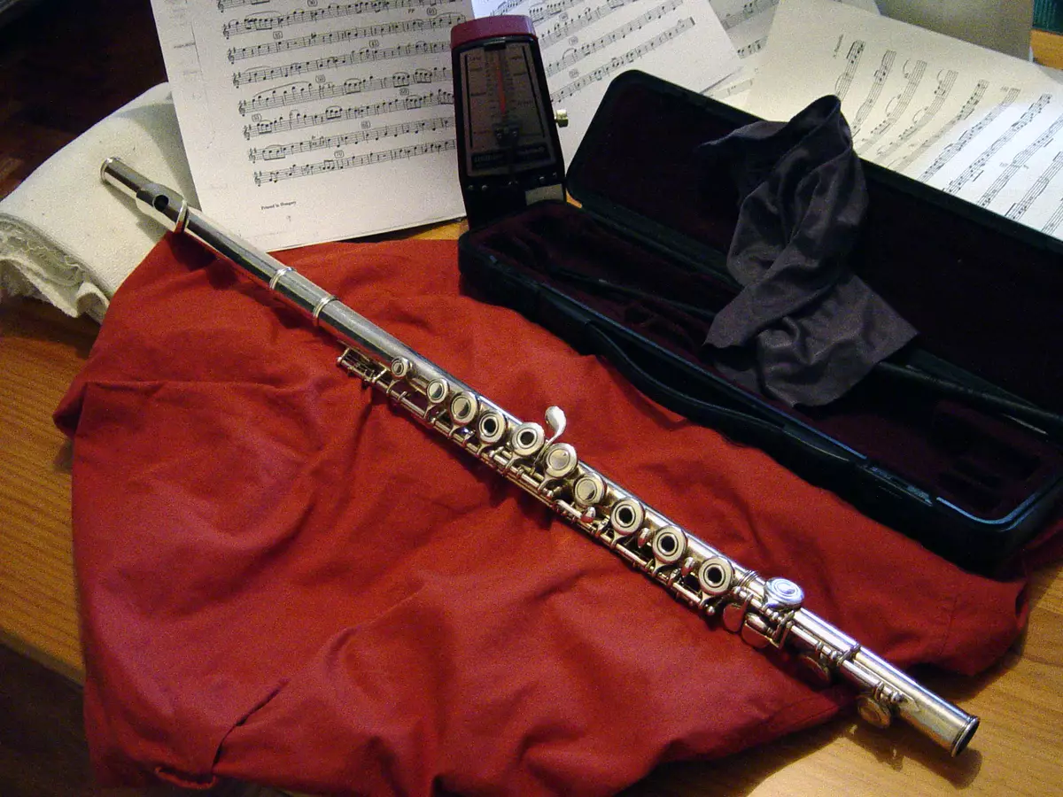 Bloqueo (35 fotos): Diferencias de la flauta. Soprano y Alto, tenor y otros tipos de pulpas de bloques, caso para ellos, sistemas alemanes y barrocos. 25500_8
