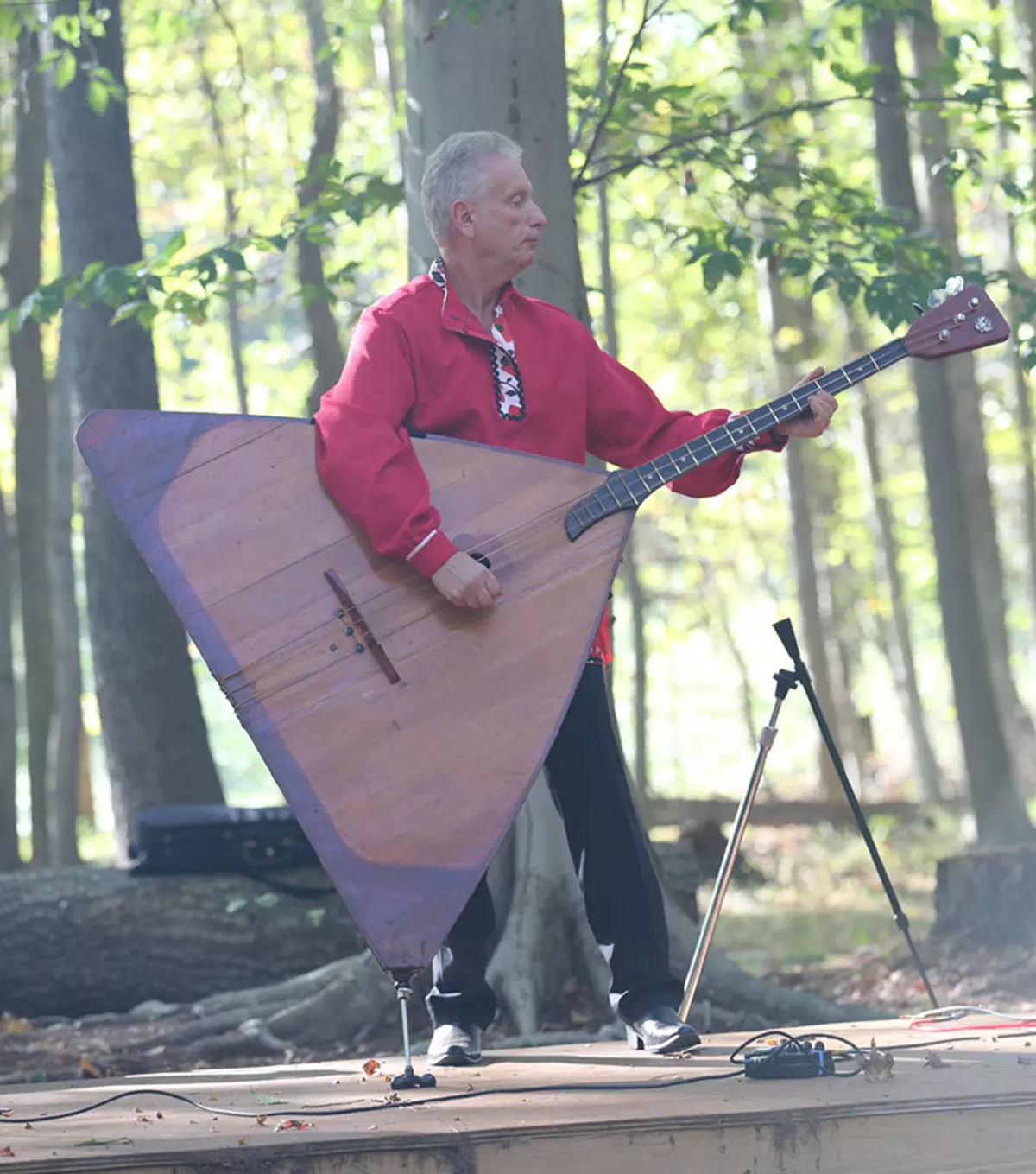 Large Balalaika (24 wêne): Balalaika-Bass di orkestraya gel de. Meriv çawa amûrek muzîka mezin a ku li ser masê radiweste? 25511_23