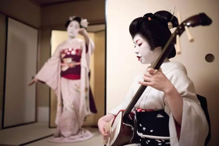 Simisen: juego en el lte del japonés de tres cuerdas con un cuello largo, instrumento musical de enchufe de cuerdas Tsugaru-dzijisan y otras especies 25513_21