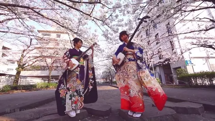 SIMISEN: Joc en el japonès llaüt de tres cordes amb un coll llarg, l'endoll instrument musical de corda Tsugaru-Dzijisan i altres espècies 25513_4