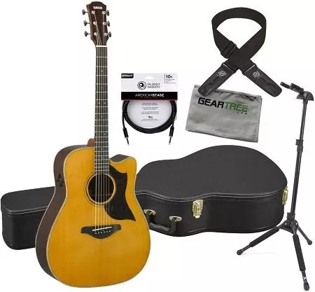 I-Acoustic Guitars Yamaha: F310, FG800 ne-F370, FG820, amamodeli amnyama, izici ze-acoustic, izintambo kanye nosayizi 25516_15