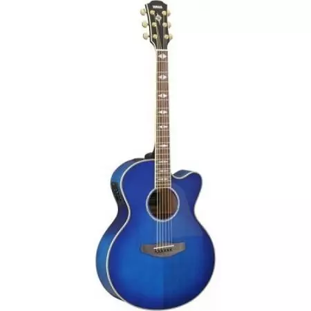 Gitar akustik Yamaha: F310, FG800 dan F370, FG820, model hitam dan lain-lain, ciri-ciri akustik, rentetan dan saiz 25516_19