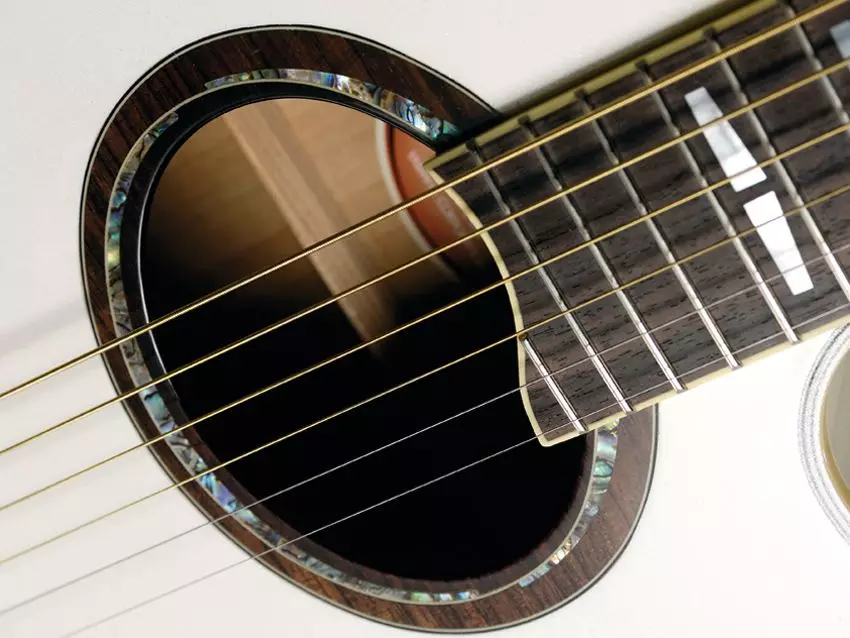 I-Acoustic Guitars Yamaha: F310, FG800 ne-F370, FG820, amamodeli amnyama, izici ze-acoustic, izintambo kanye nosayizi 25516_21