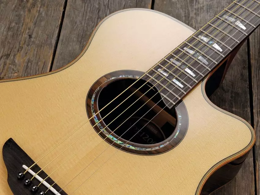 I-Acoustic Guitars Yamaha: F310, FG800 ne-F370, FG820, amamodeli amnyama, izici ze-acoustic, izintambo kanye nosayizi 25516_25