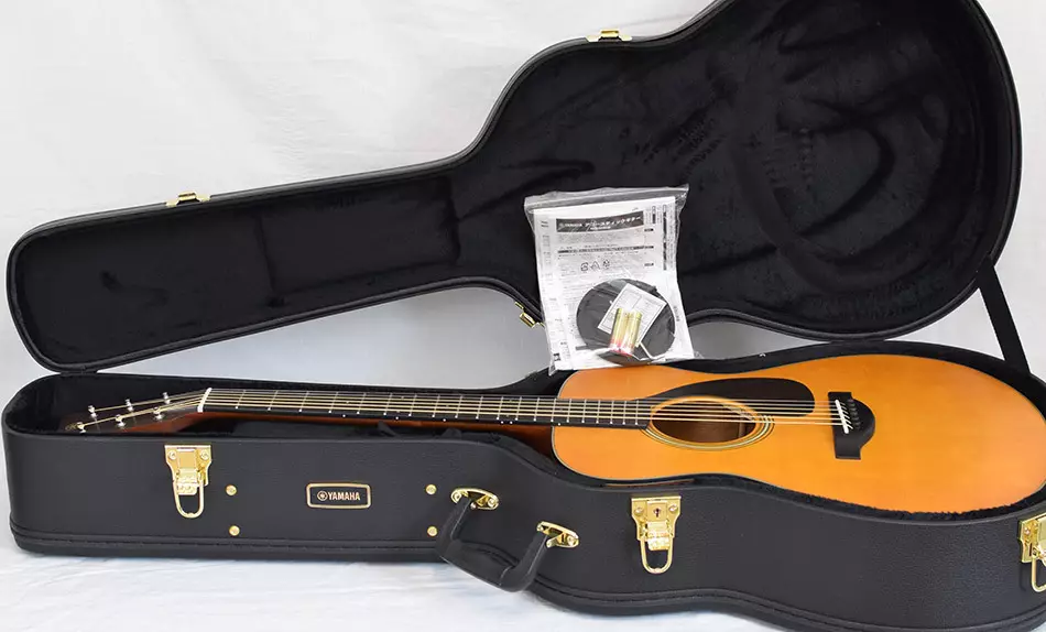 I-Acoustic Guitars Yamaha: F310, FG800 ne-F370, FG820, amamodeli amnyama, izici ze-acoustic, izintambo kanye nosayizi 25516_7