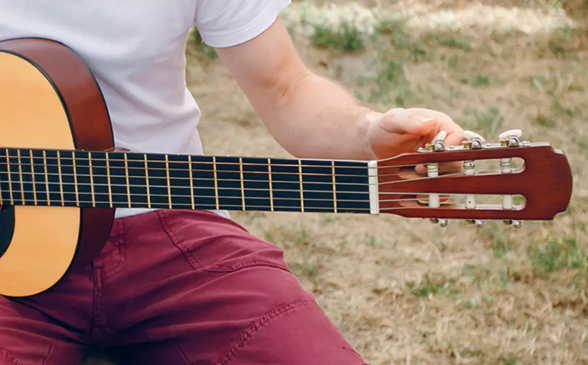 Cum să înființezi o chitară novice? Configurarea chitarelor de 5 și 7-String la domiciliu. Cum să înființezi cu ușurință o chitară clasică singură? 25521_3