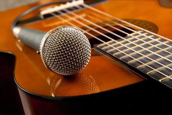 Постављање гитаре кроз микрофон: 6- и 7-низ, користите тјунер и програме у телефону за акустичну и другу гитару 25526_2