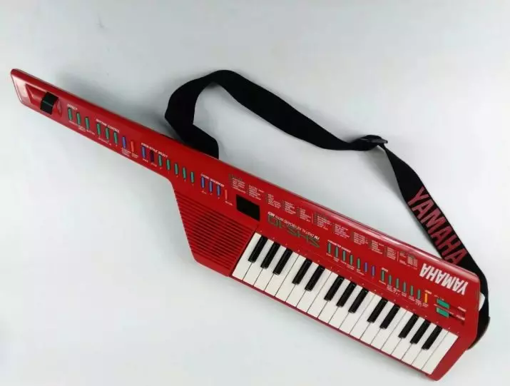 Knappsatsen: En Muster Synthesizer, Keytar, ett tangentbord gitarr och andra namn. Funktioner av den handgjorda piano gitarr för rockmusik 25549_12
