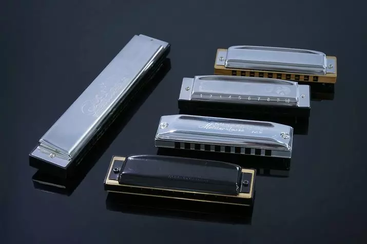 Harmonica harmonica (43 foto's): typen. Hoe kiest u een muziekinstrument voor beginners? Diatonische harmonische van het Richter-systeem en anderen 25558_10